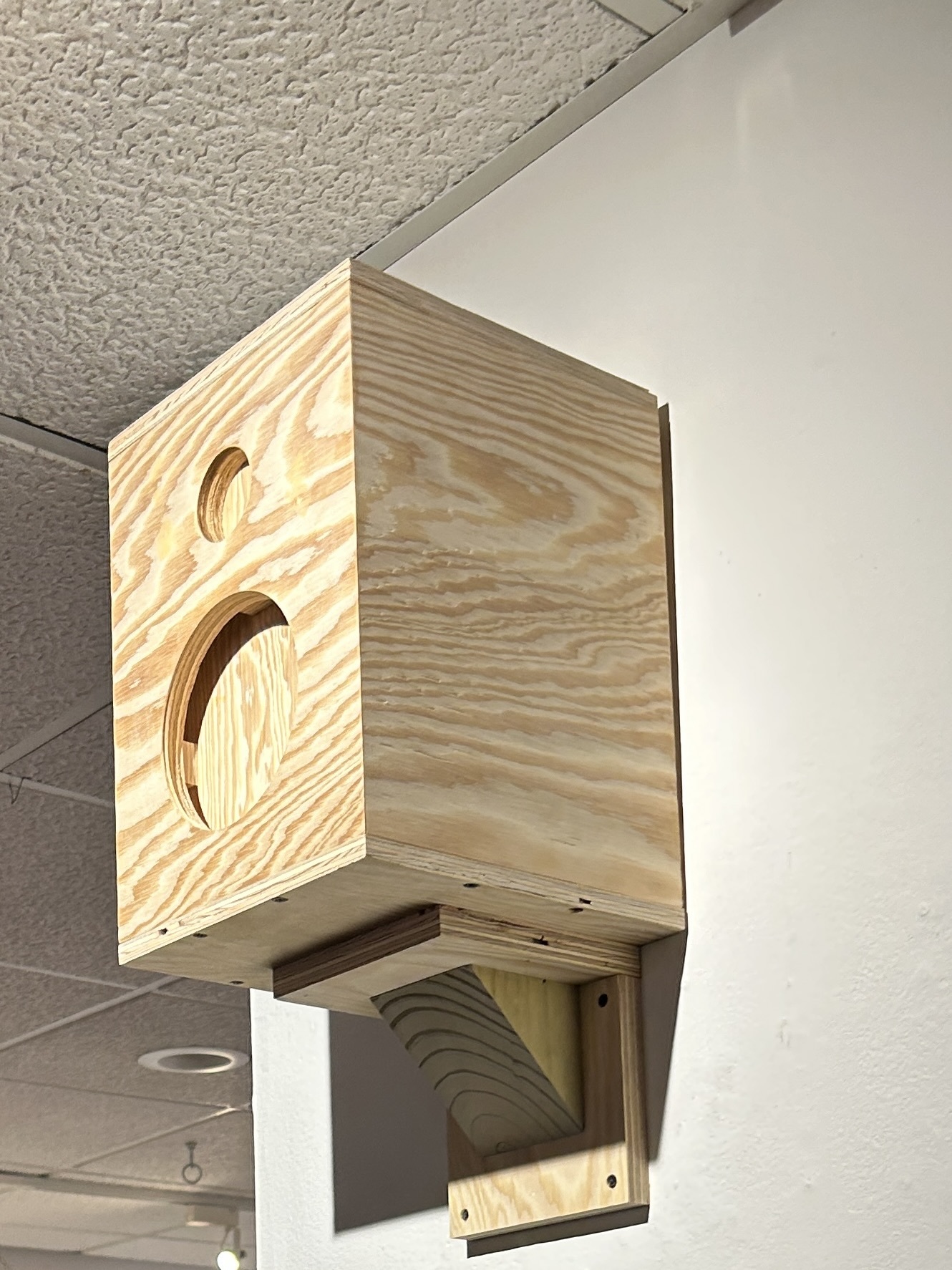 Plywood speakers installed